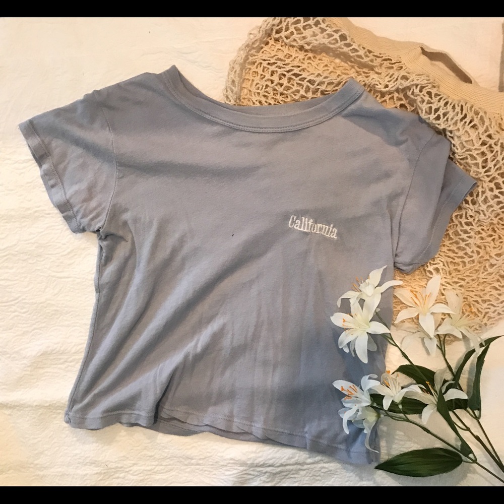 Brandy Melville California Crop Top